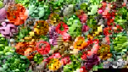 Fruit and vegetables: The application of texture analysis on the latest developments