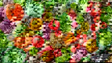 Range of colourful fresh fruit and vegetables