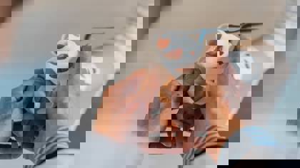 How texture analysis can advance personalised medicine