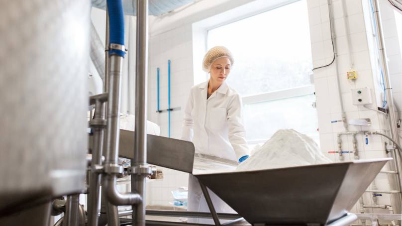 Workers In A Powder Factory