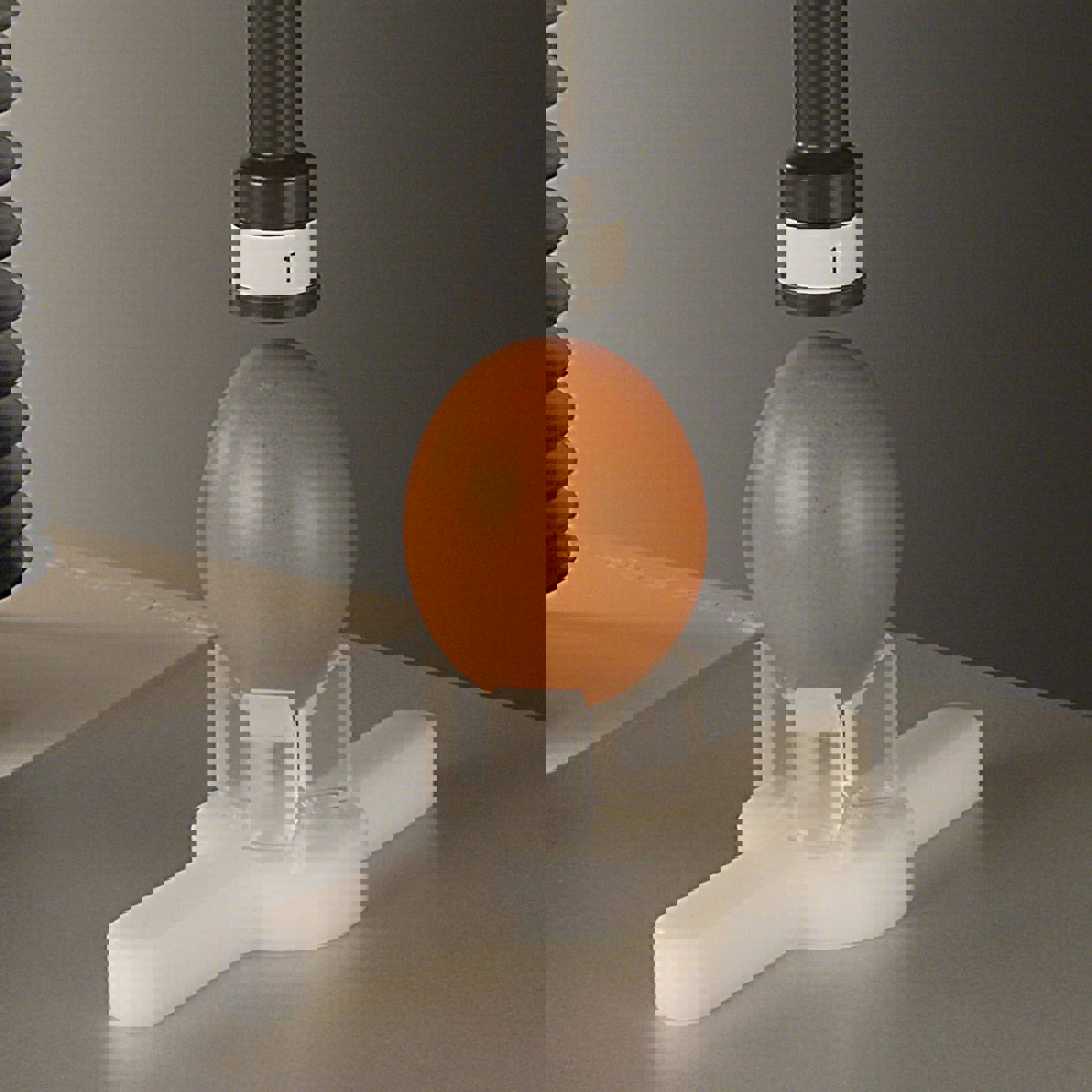 Egg Quality Testing System