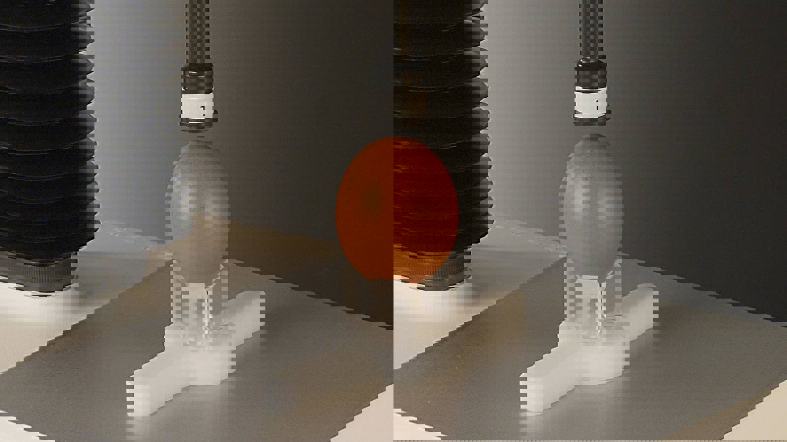 Egg Quality Testing System