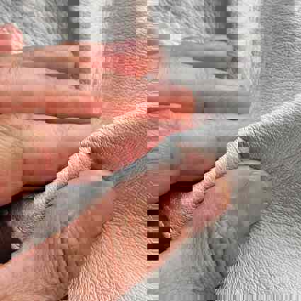 Person using hands to assess the texture of leather