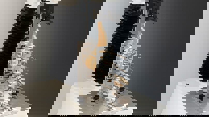 A/HSR Hair Suppleness Rig