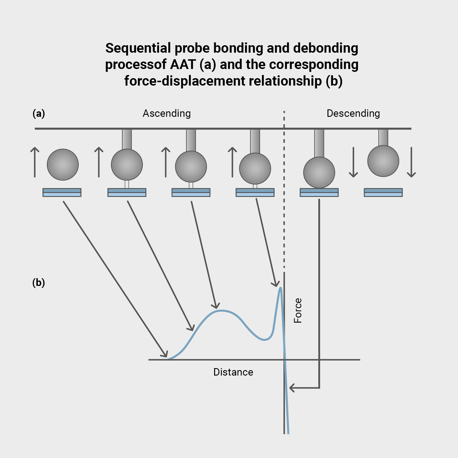 Probe bonding and debonding force relationship