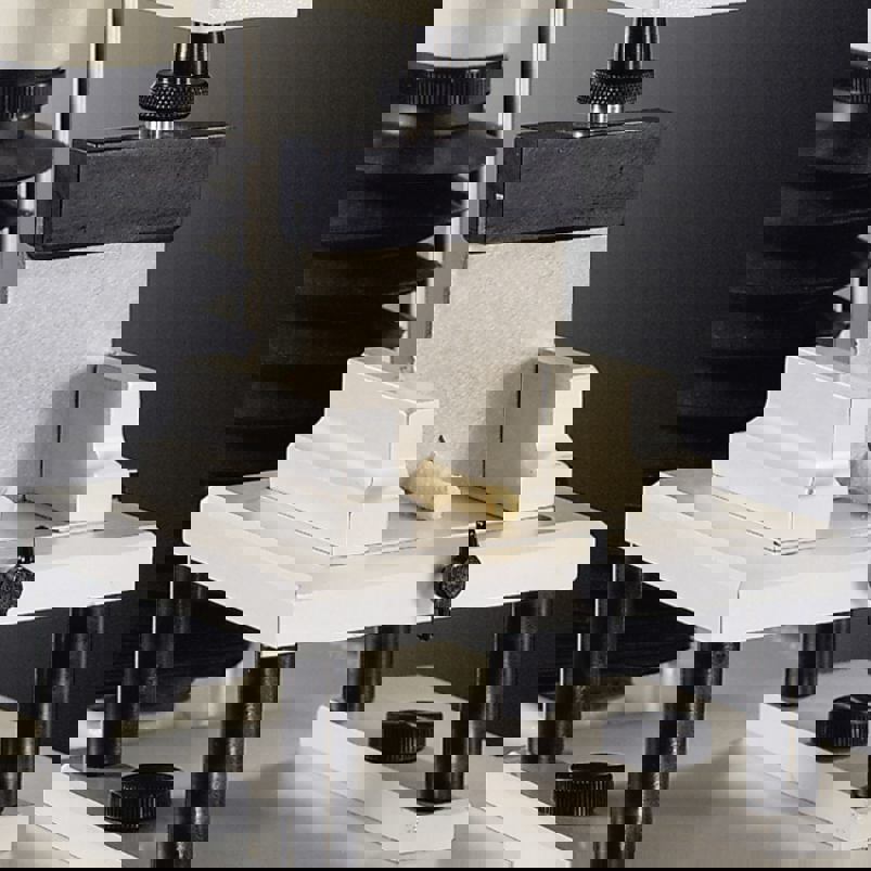 HDP/WBV Thin V Warner Blade