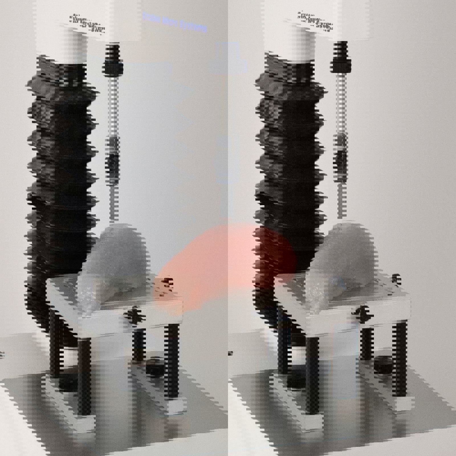 Meullenet Owens Razor Shear Blade testing chicken breast