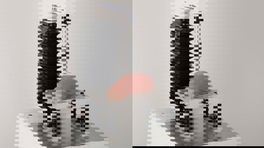 Rapid and simple poultry tenderness measurement