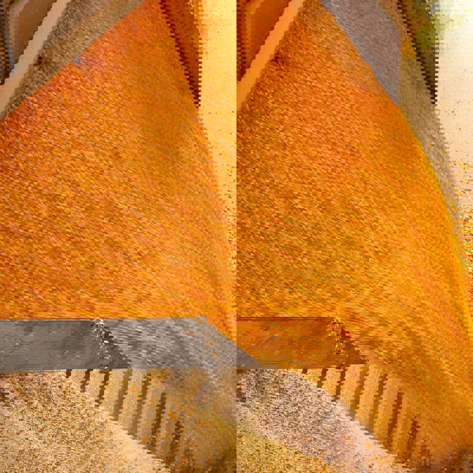 Grain pouring from chute in commercial production