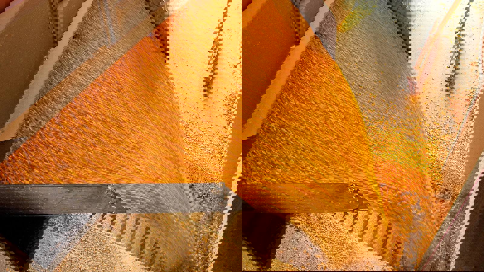 Grain Pouring From Chute In Commercial Production