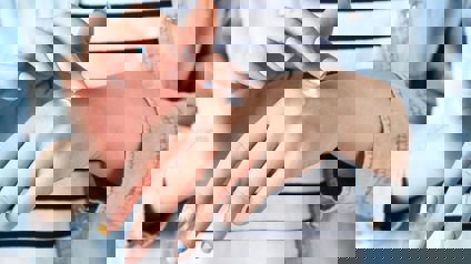 Female Hands Applying Hand Cream