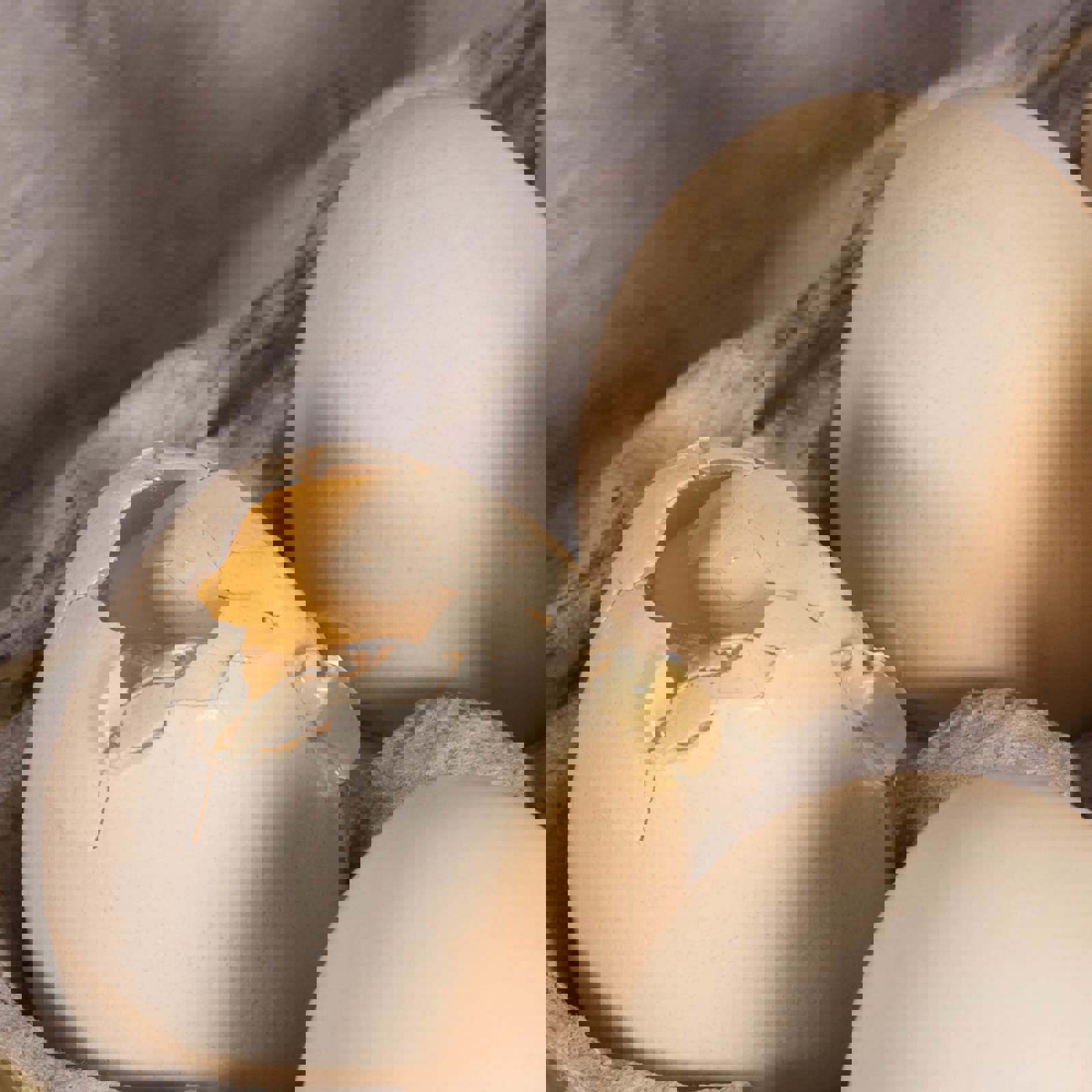 One broken egg in a half dozen tray