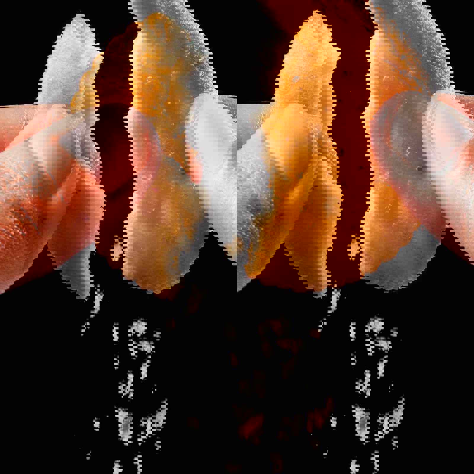 Person snapping cracker in half