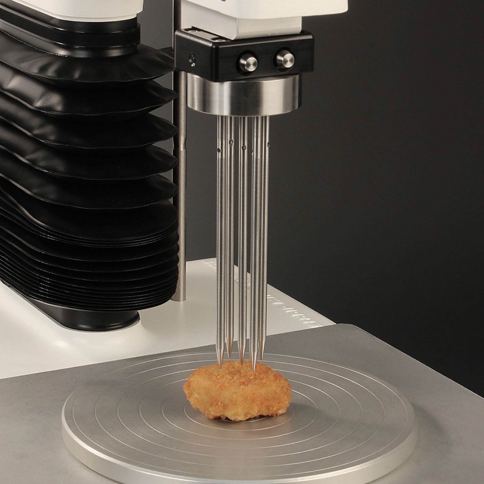 Multiple Puncture Probe testing chicken nugget