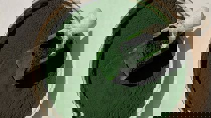 Algae in food product development