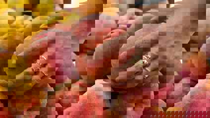 Person gently squeezing a peach to test ripeness