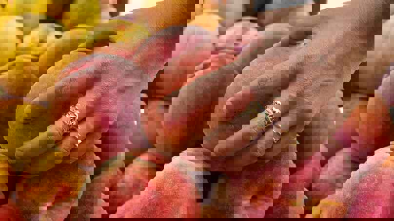 Person gently squeezing a peach to test ripeness