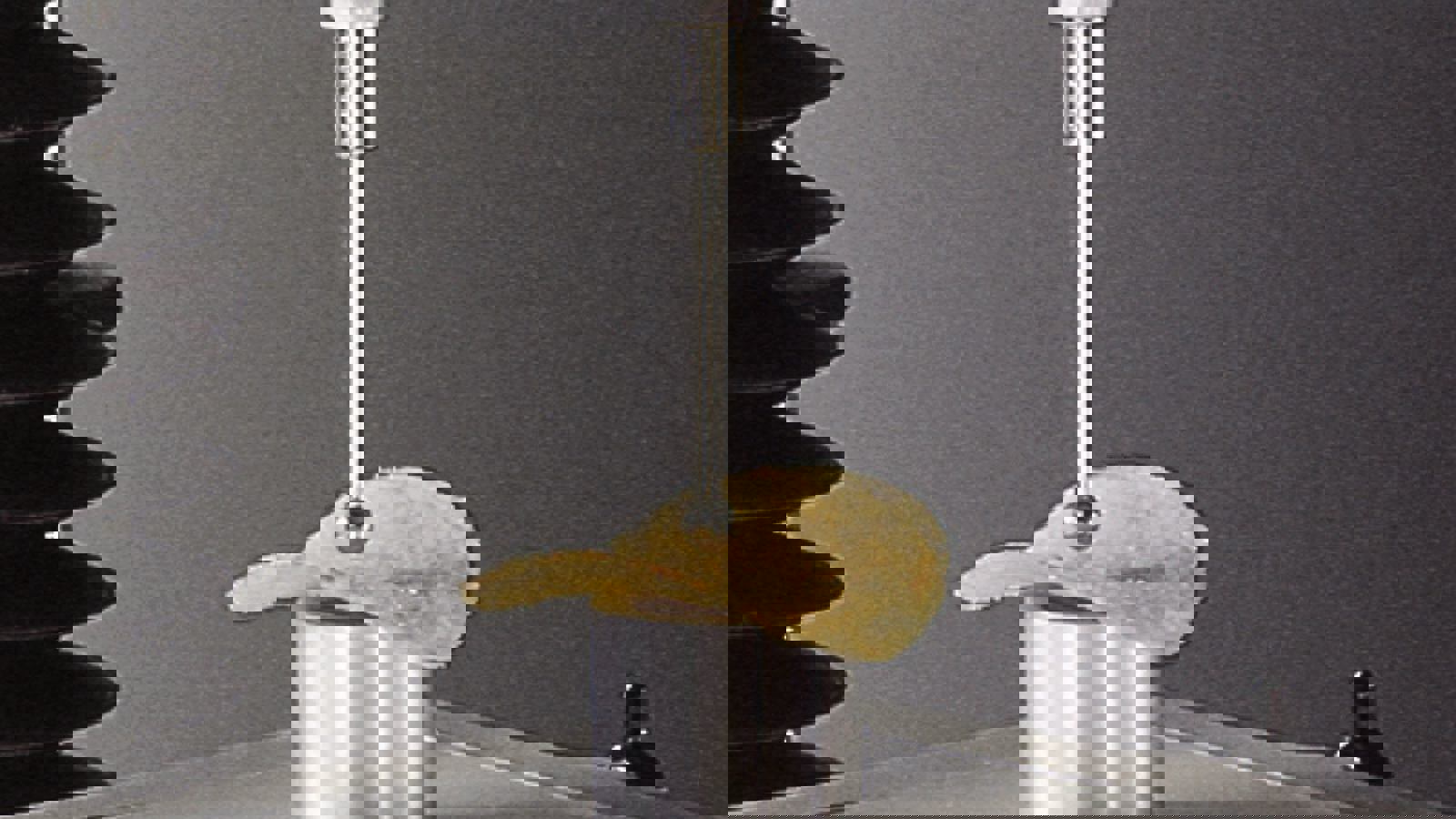 Crisp Fracture Support Rig