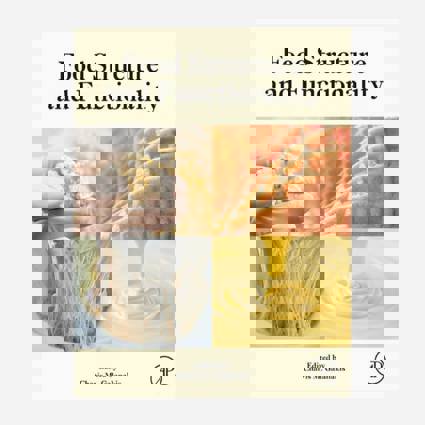 Food Structure and Functionality book cover