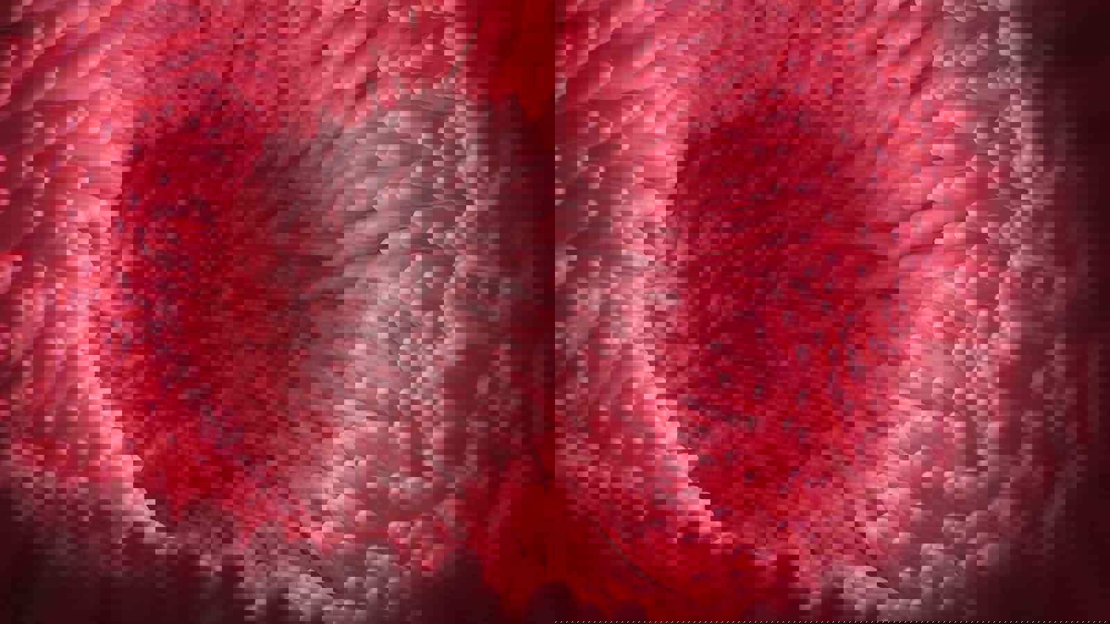 Mucoadhesion concept