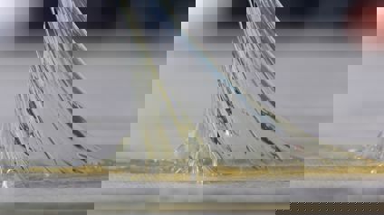 Adhesive substance stretching between two surfaces