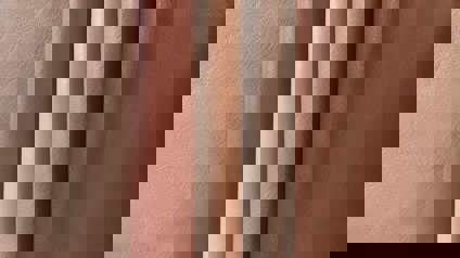 Samples Of Tan Leather