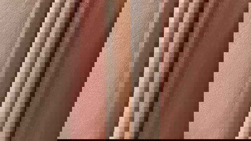 Samples Of Tan Leather