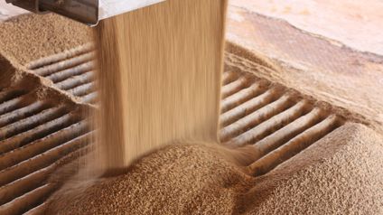 Dry Fertilizer Flowing In A Factory Environment