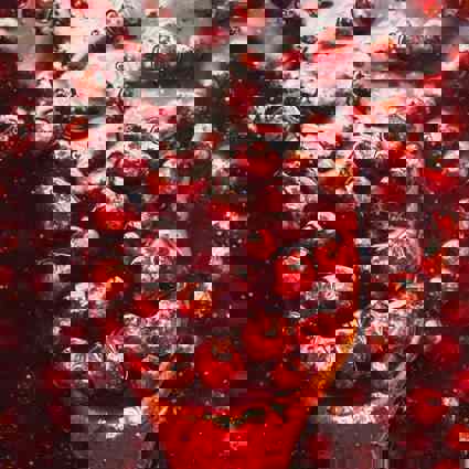 Girl eating a carrot