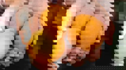 Person holding fresh apricots in their hands