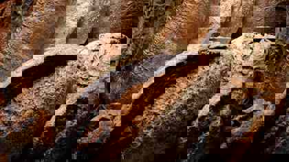 Fortification of bakery products and its effect on texture