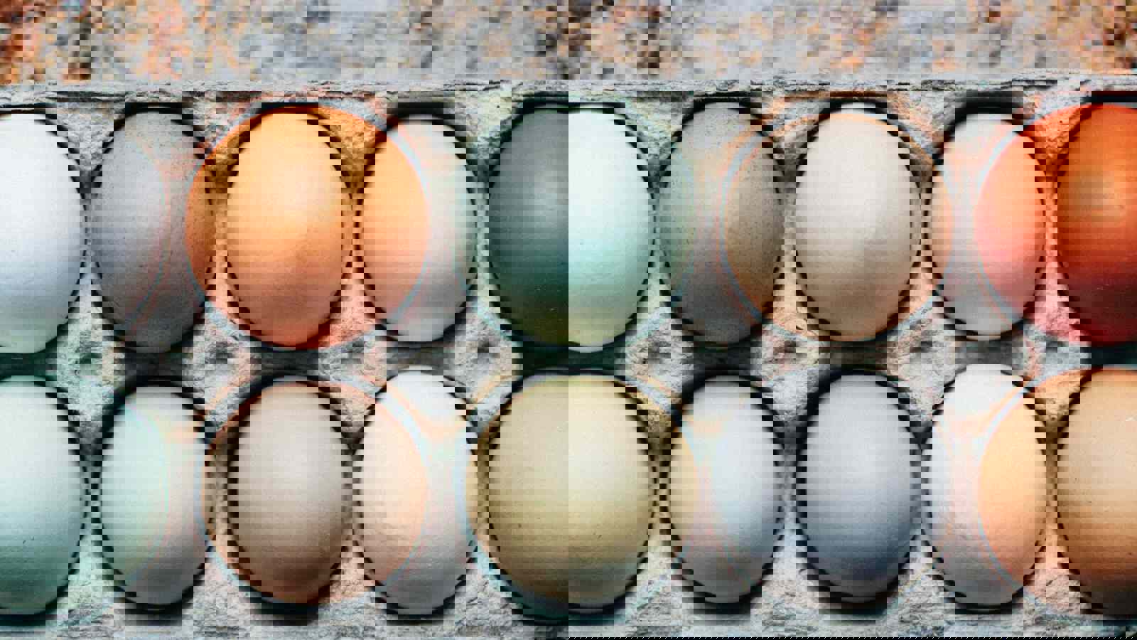 Tray of pastel and brown eggs