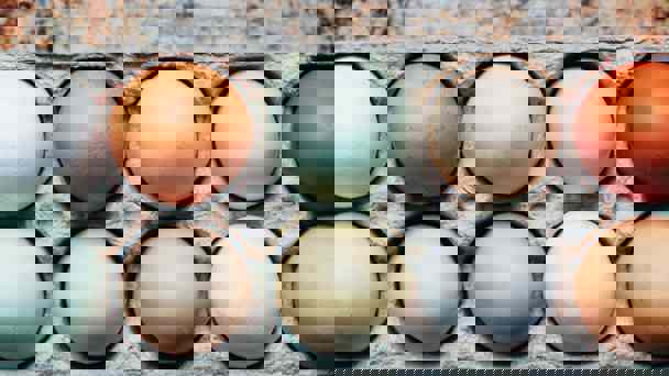 Tray Of Pastel And Brown Eggs