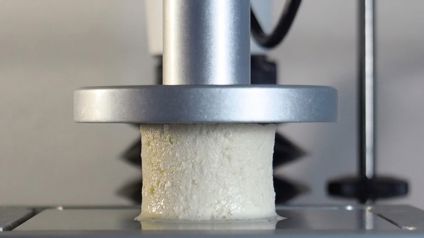 TPA Test On Tofu