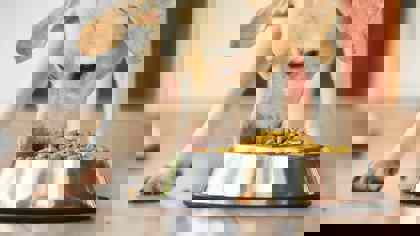 Advances in petfood: Texture analysis in research