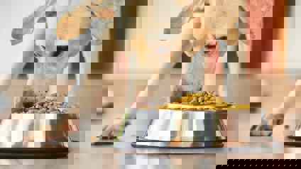 Dog Eating Dry Food From A Bowl