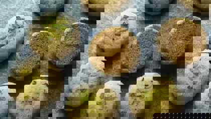 Texture analysis in research: Gluten-free products