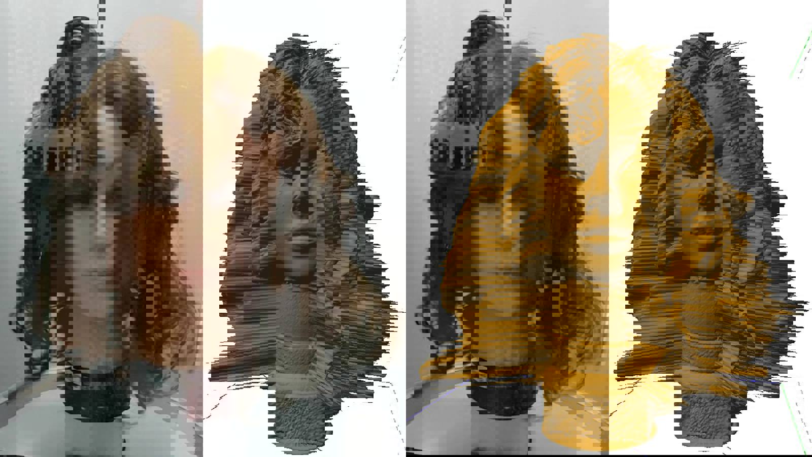 Manequin head and Volscan Profiler scan