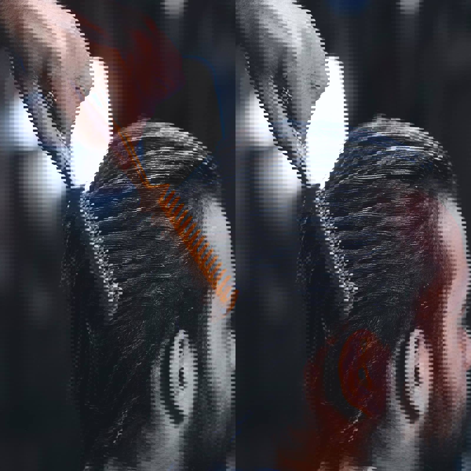 Hairdresser combing a client's hair