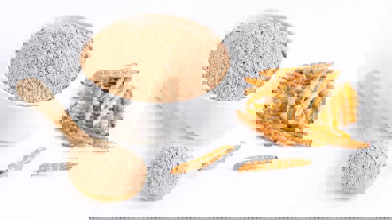 Insect Powder In Bowl And Spoon