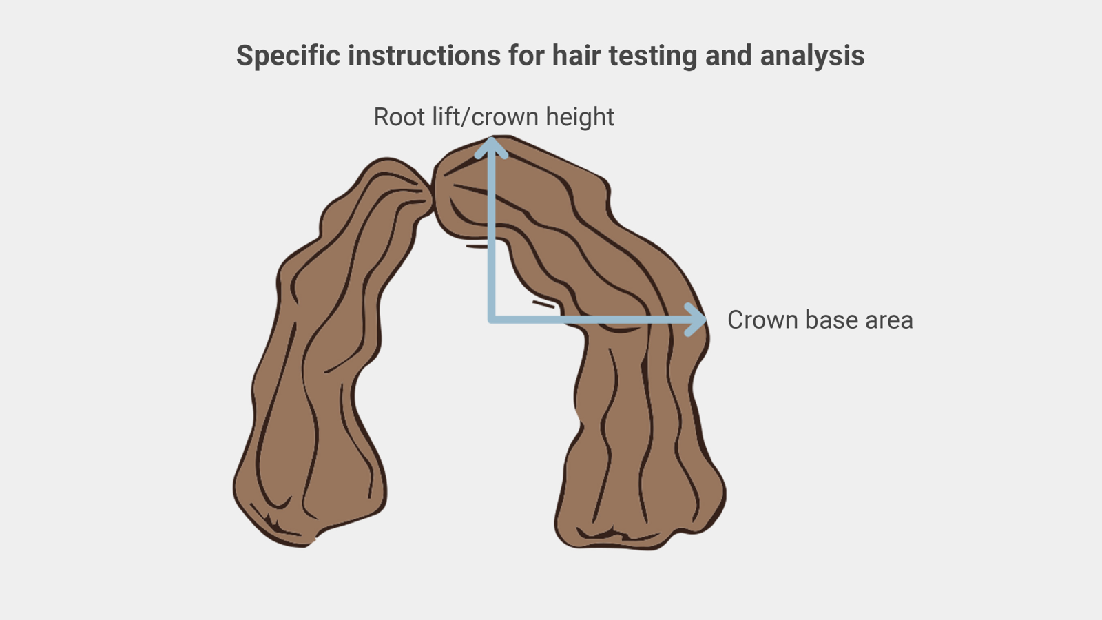 Specific instructions for hair testing and analysis diagram