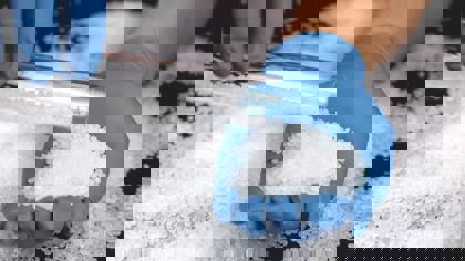 Mechanical measurement of polymers: Flexure and friction