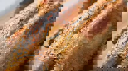 Measuring quality parameters in the poultry and egg industry – Cooked chicken methods