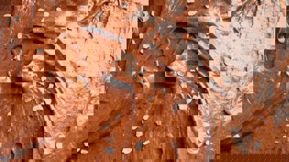 Why food is nothing without texture