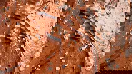 Ice Cream Mix Poured Into Tub Awaiting Freezer