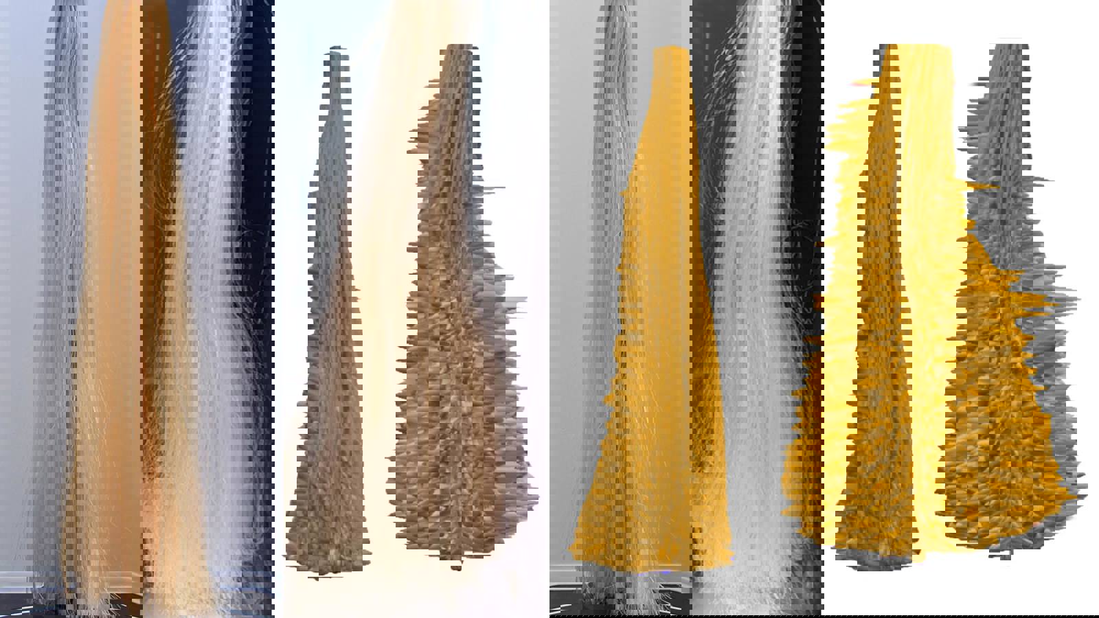 Comparison of non-frizzy and frizzy hair