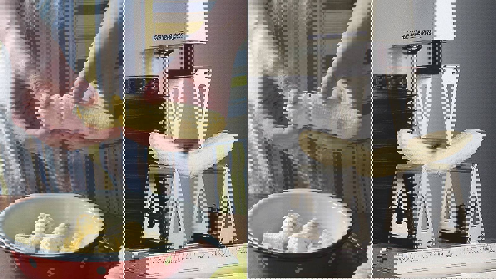 Flexibility imitative test breaking banana with hands and banana on Three Point Bend Rig