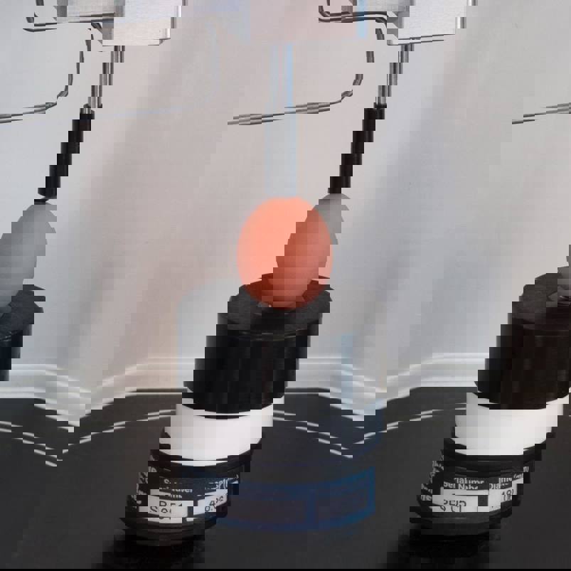 Volscan Profiler egg testing