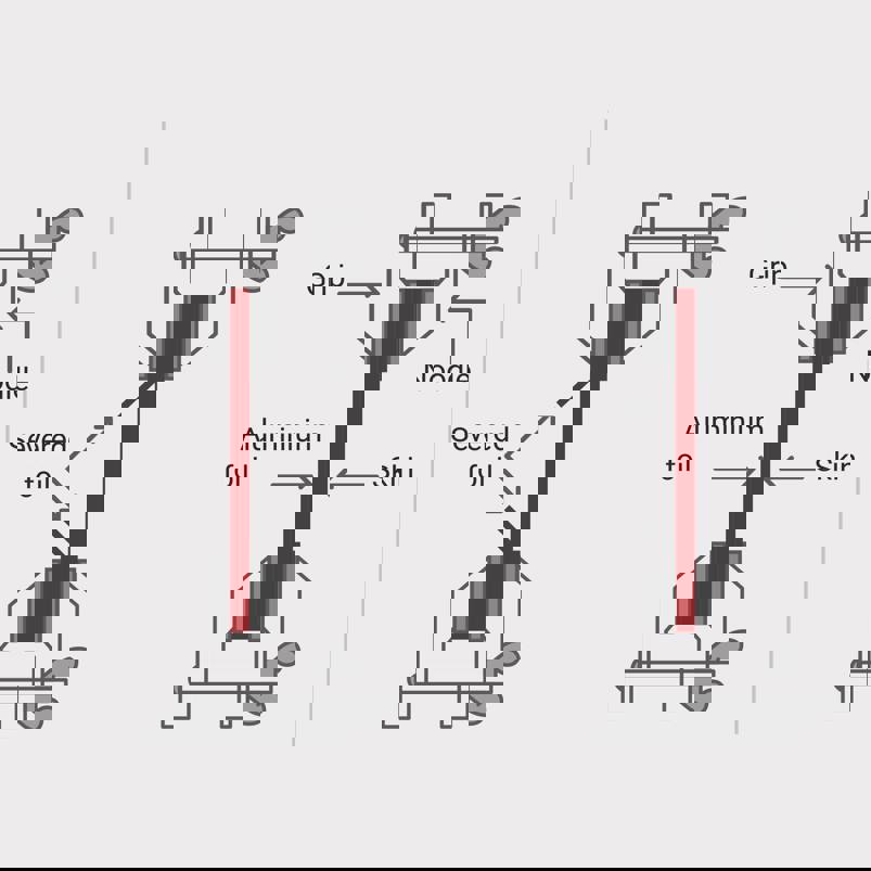Tensile testing tomato skin