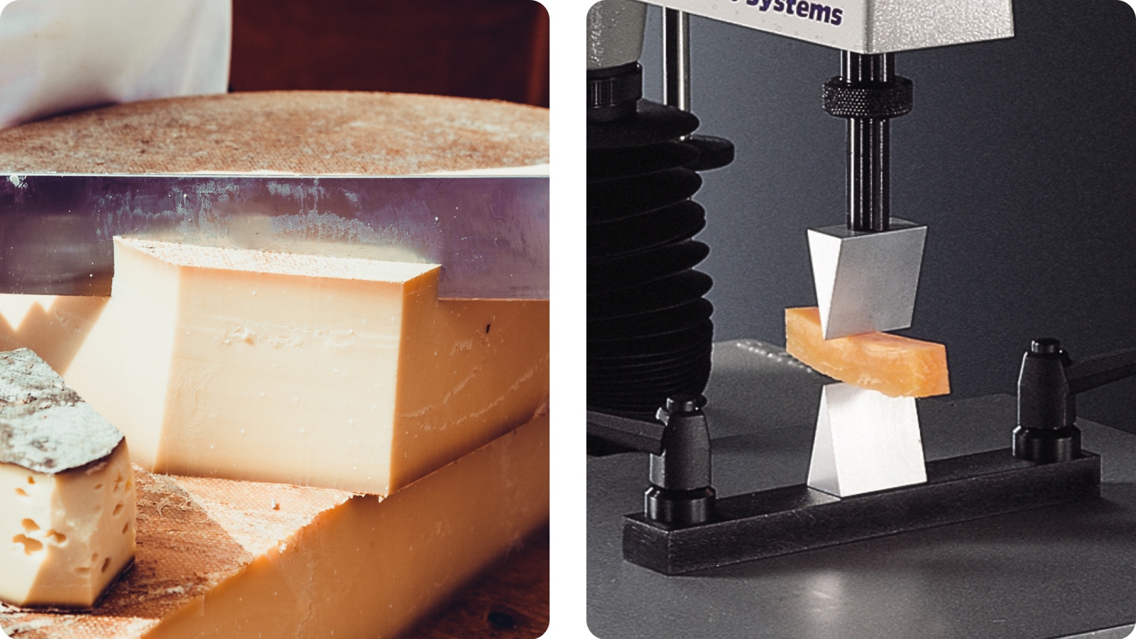 Testing Cutting Cutting and shearing testing | Texture Analyser methods